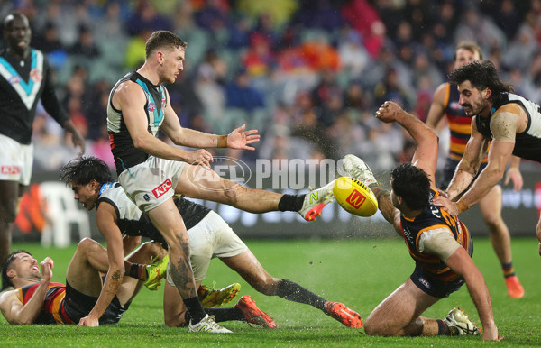 AFL 2025 Round 20 - Adelaide v Port Adelaide - A-60799080