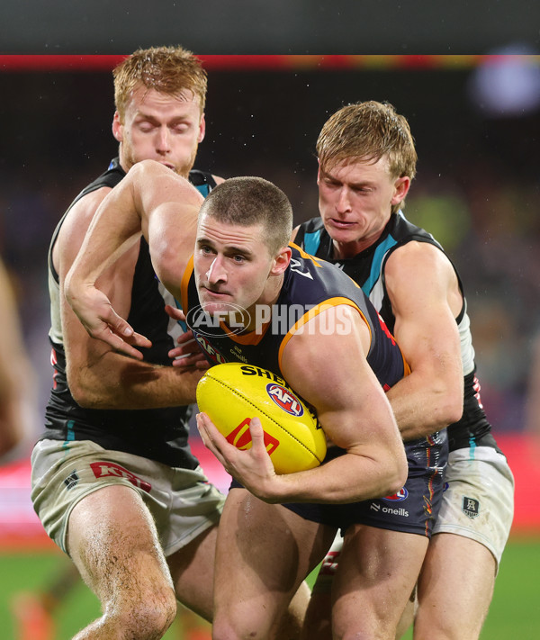 AFL 2025 Round 20 - Adelaide v Port Adelaide - A-60799095