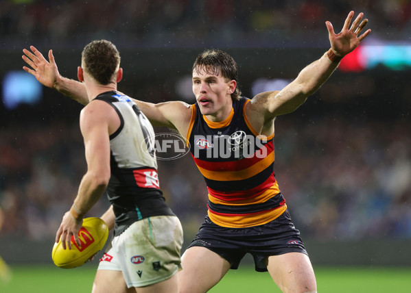 AFL 2025 Round 20 - Adelaide v Port Adelaide - A-60799102