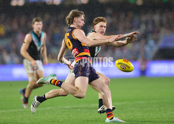 AFL 2025 Round 20 - Adelaide v Port Adelaide - A-60799113
