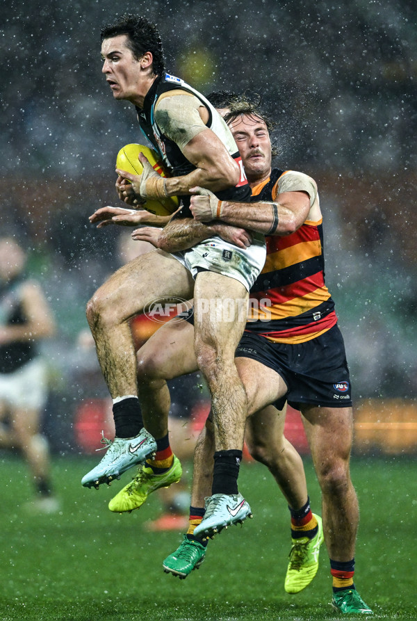 AFL 2025 Round 20 - Adelaide v Port Adelaide - A-60799116