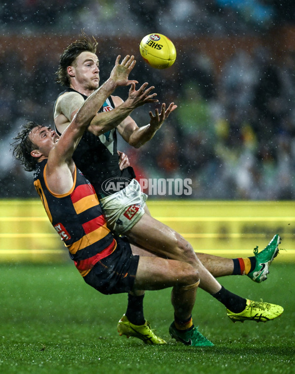 AFL 2025 Round 20 - Adelaide v Port Adelaide - A-60799119