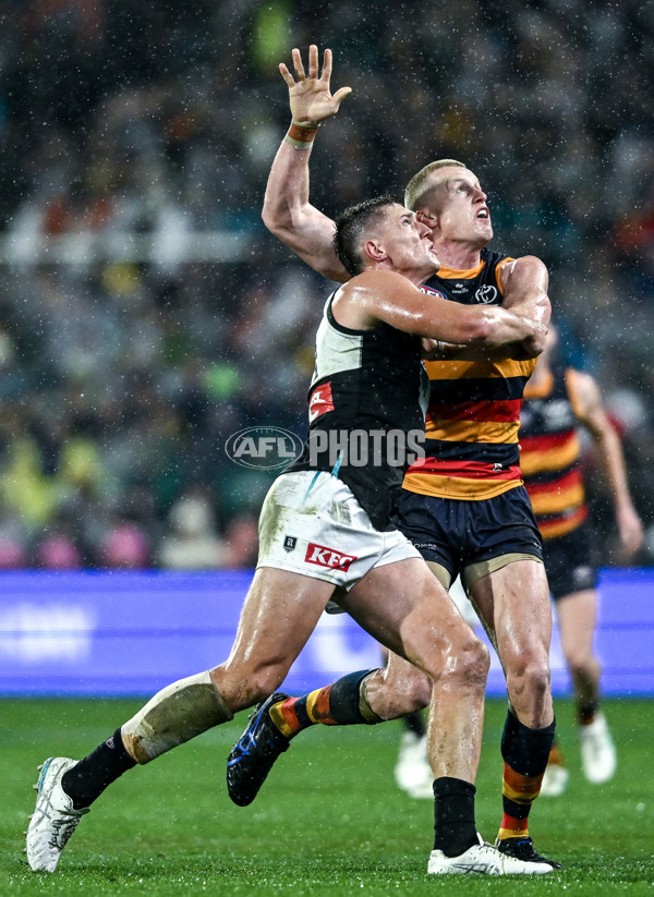 AFL 2025 Round 20 - Adelaide v Port Adelaide - A-60799127