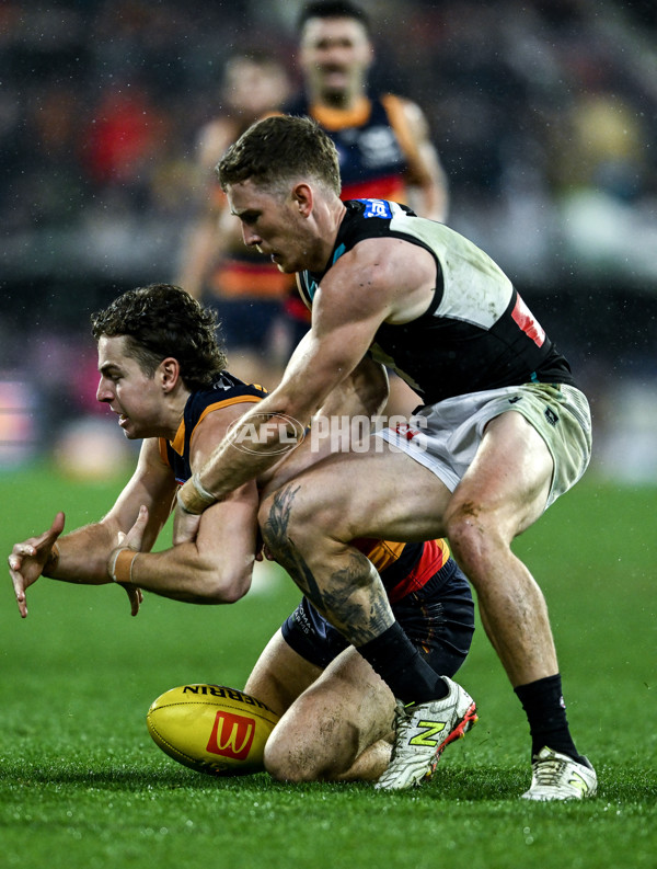 AFL 2025 Round 20 - Adelaide v Port Adelaide - A-60799132
