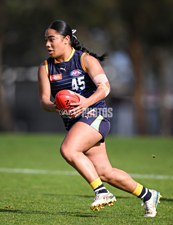 Coates League Girls 2025 Round 15 - Calder Cannons v Bendigo Pioneers - A-60799163