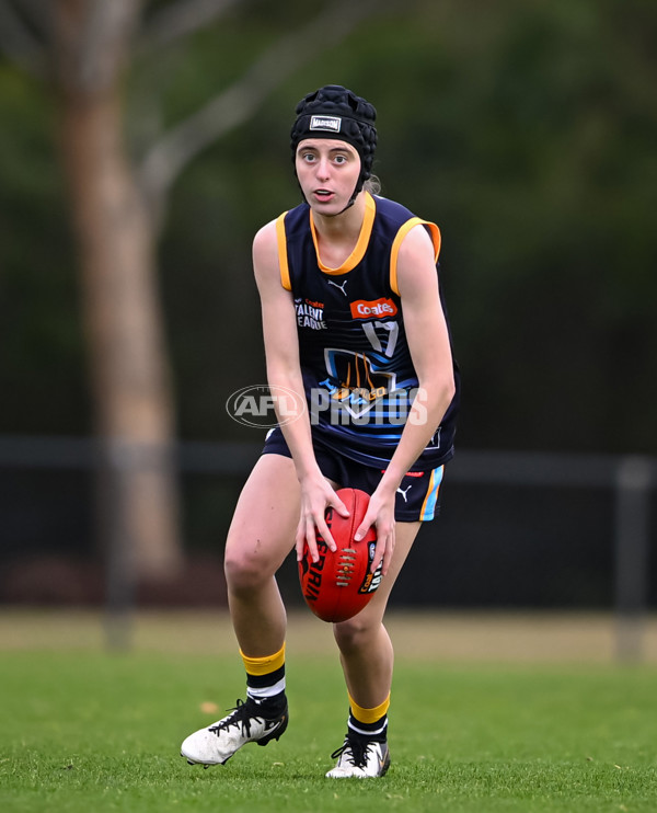Coates League Girls 2025 Round 15 - Calder Cannons v Bendigo Pioneers - A-60800976