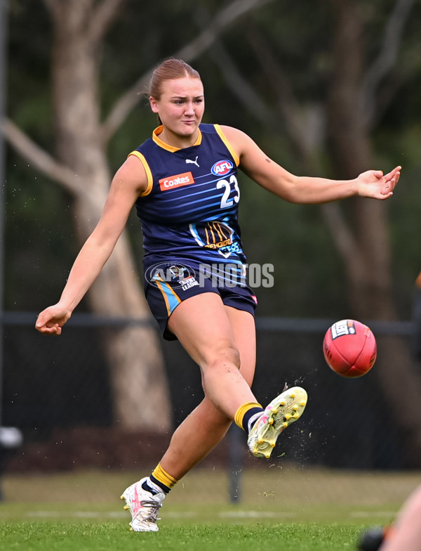 Coates League Girls 2025 Round 15 - Calder Cannons v Bendigo Pioneers - A-60800978