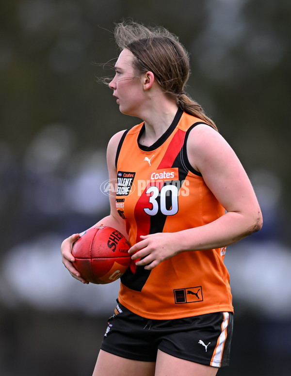 Coates League Girls 2025 Round 15 - Calder Cannons v Bendigo Pioneers - A-60802042