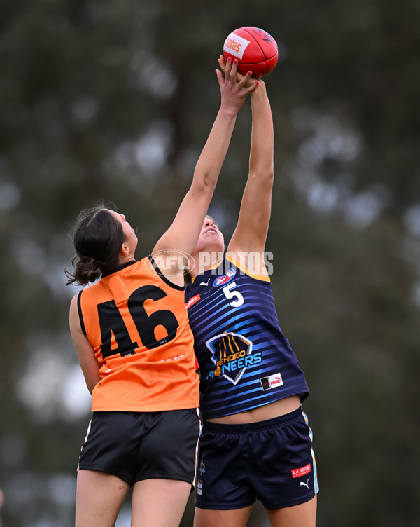 Coates League Girls 2025 Round 15 - Calder Cannons v Bendigo Pioneers - A-60802044