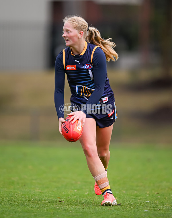 Coates League Girls 2025 Round 15 - Calder Cannons v Bendigo Pioneers - A-60802061