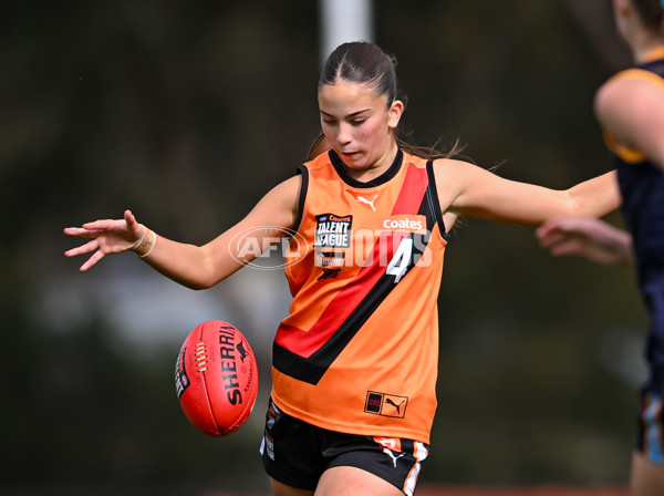 Coates League Girls 2025 Round 15 - Calder Cannons v Bendigo Pioneers - A-60803521