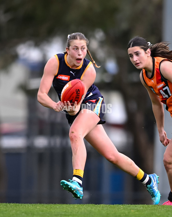 Coates League Girls 2025 Round 15 - Calder Cannons v Bendigo Pioneers - A-60803523
