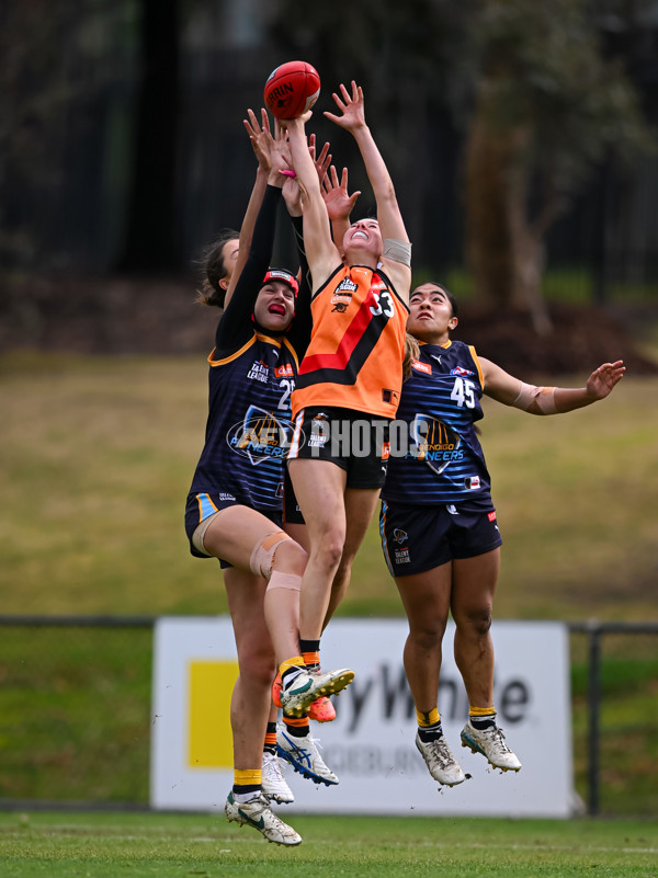 Coates League Girls 2025 Round 15 - Calder Cannons v Bendigo Pioneers - A-60803525