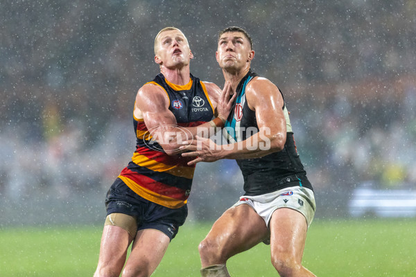 AFL 2025 Round 20 - Adelaide v Port Adelaide - A-60803602