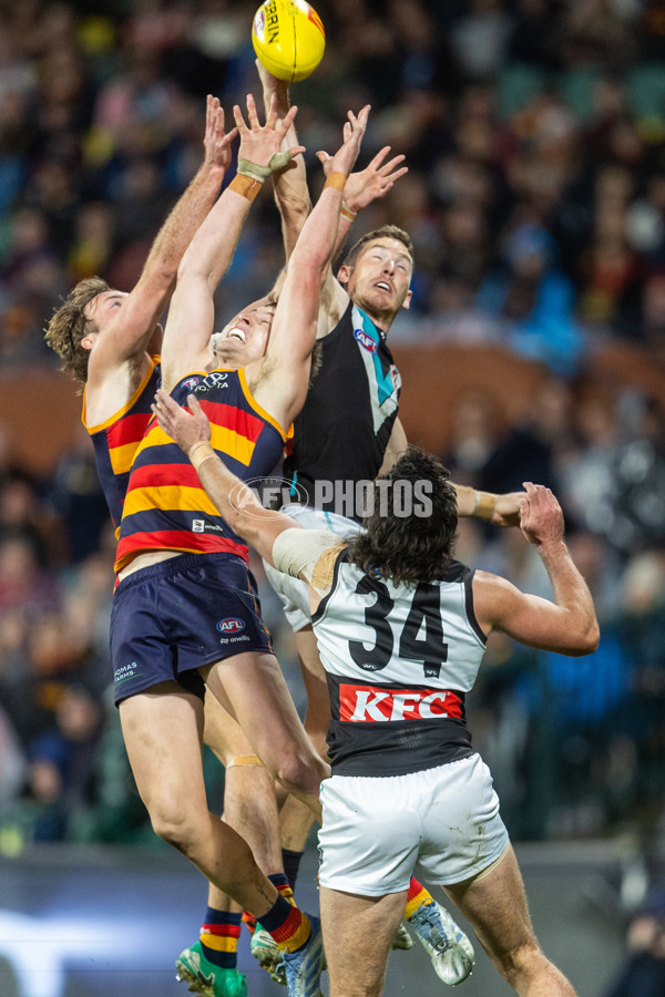 AFL 2025 Round 20 - Adelaide v Port Adelaide - A-60804960