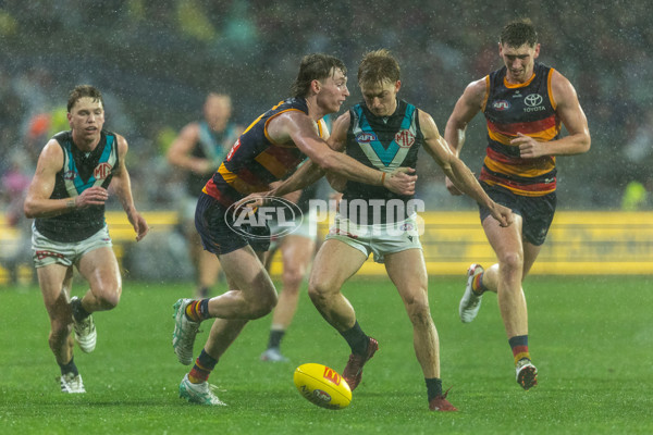 AFL 2025 Round 20 - Adelaide v Port Adelaide - A-60804964