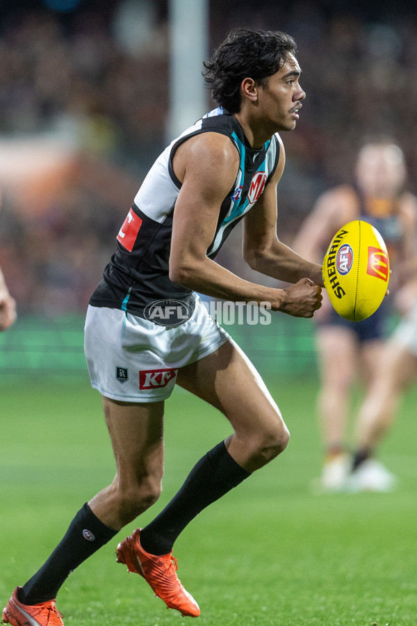 AFL 2025 Round 20 - Adelaide v Port Adelaide - A-60804966