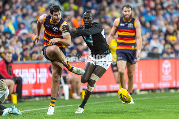 AFL 2025 Round 20 - Adelaide v Port Adelaide - A-60804967
