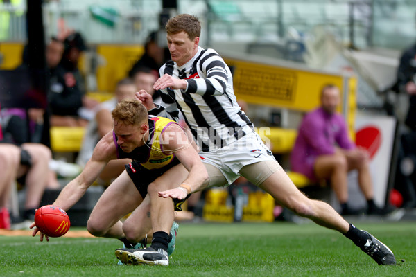 AFL 2025 Round 20 - Richmond v Collingwood - A-60806139