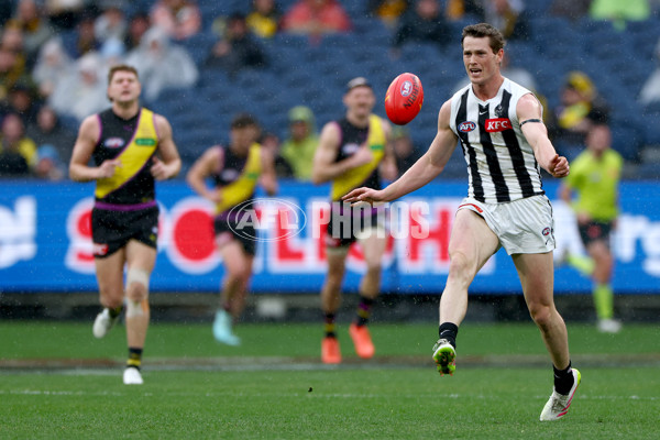 AFL 2025 Round 20 - Richmond v Collingwood - A-60807496