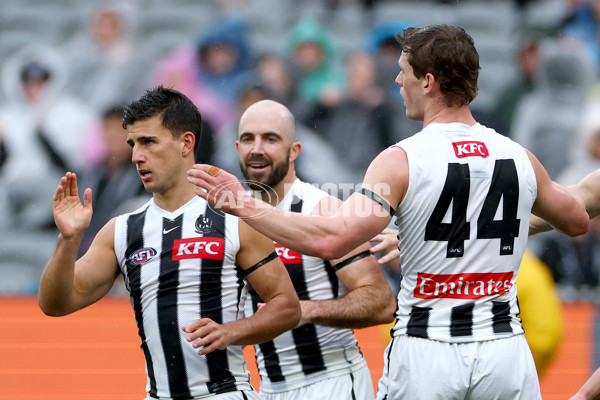 AFL 2025 Round 20 - Richmond v Collingwood - A-60807513