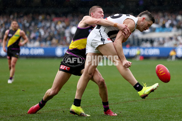 AFL 2025 Round 20 - Richmond v Collingwood - A-60807524