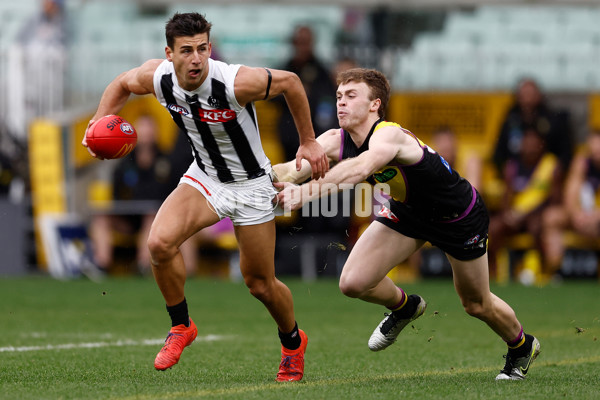 AFL 2025 Round 20 - Richmond v Collingwood - A-60807543