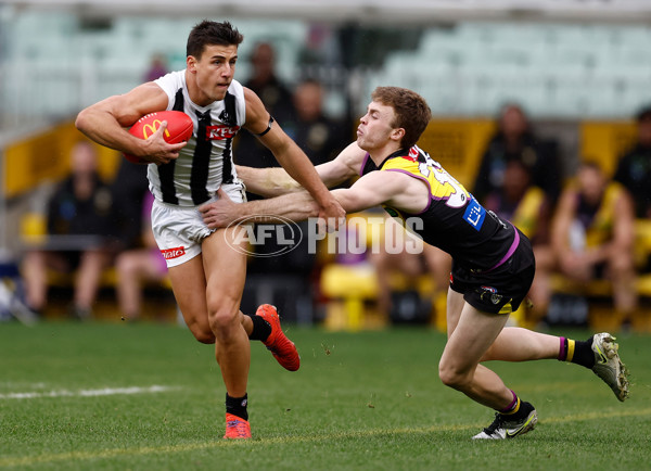 AFL 2025 Round 20 - Richmond v Collingwood - A-60807547