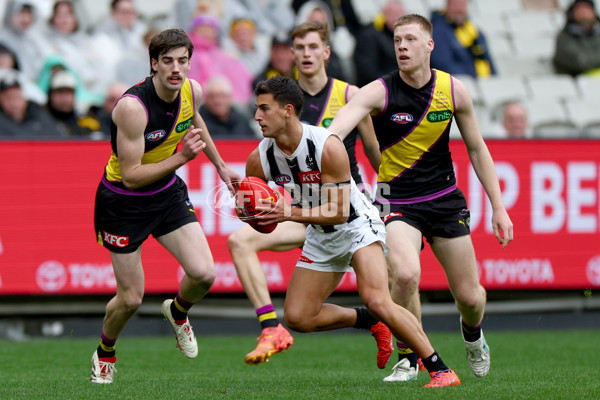 AFL 2025 Round 20 - Richmond v Collingwood - A-60807552