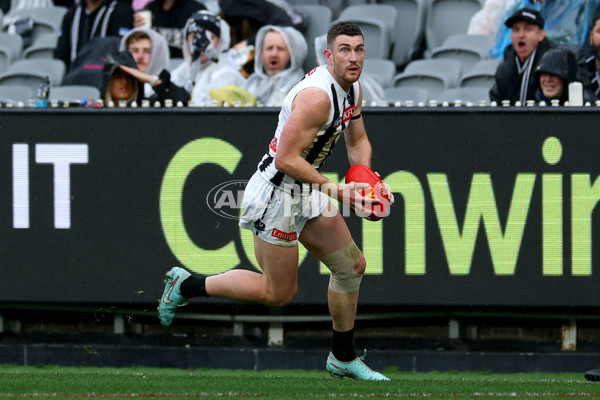 AFL 2025 Round 20 - Richmond v Collingwood - A-60808491