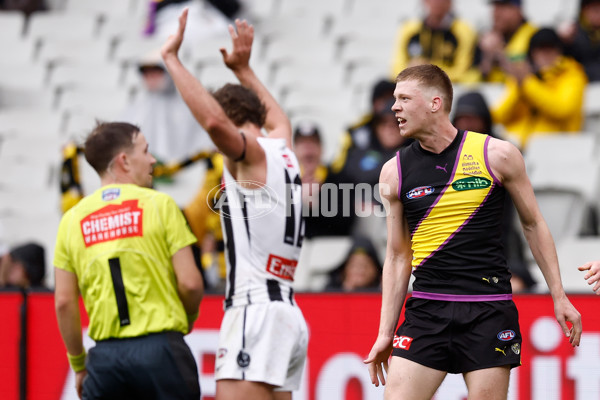 AFL 2025 Round 20 - Richmond v Collingwood - A-60808494