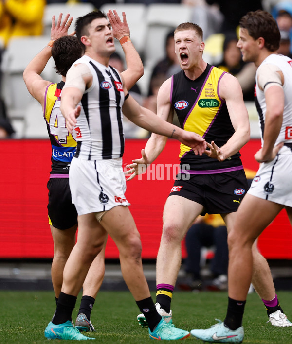 AFL 2025 Round 20 - Richmond v Collingwood - A-60808495