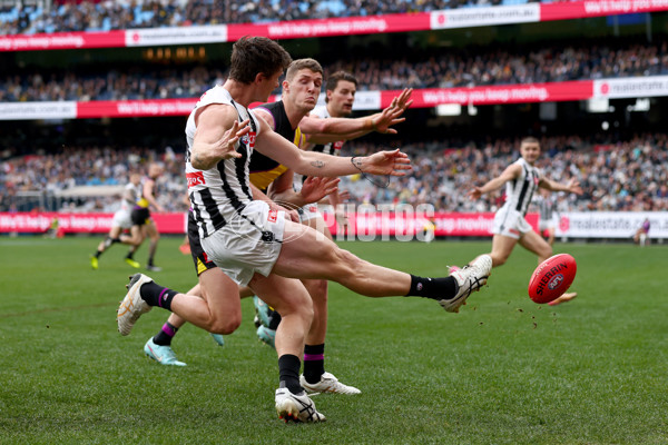 AFL 2025 Round 20 - Richmond v Collingwood - A-60808509