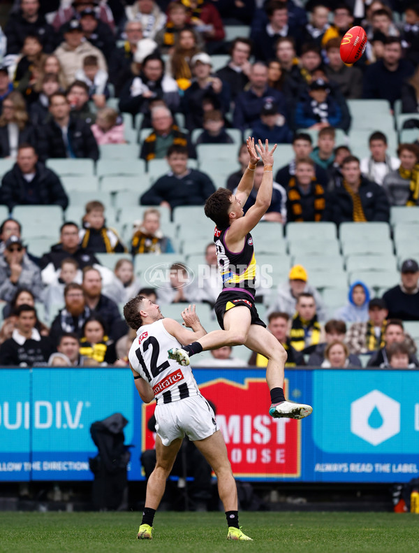 AFL 2025 Round 20 - Richmond v Collingwood - A-60808514