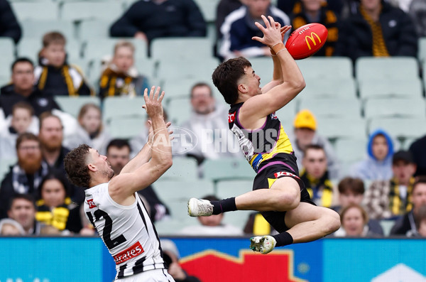 AFL 2025 Round 20 - Richmond v Collingwood - A-60808520