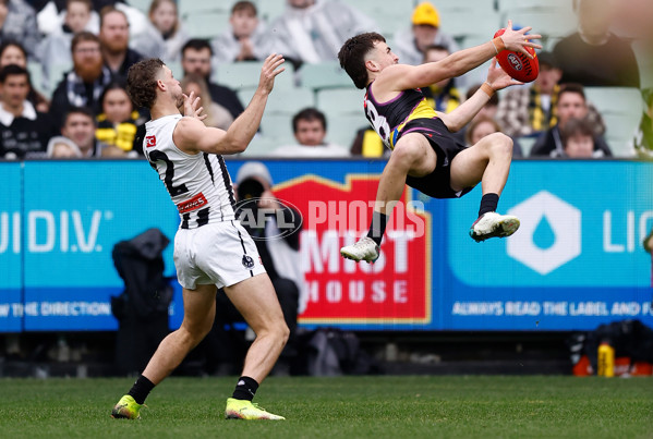 AFL 2025 Round 20 - Richmond v Collingwood - A-60808521
