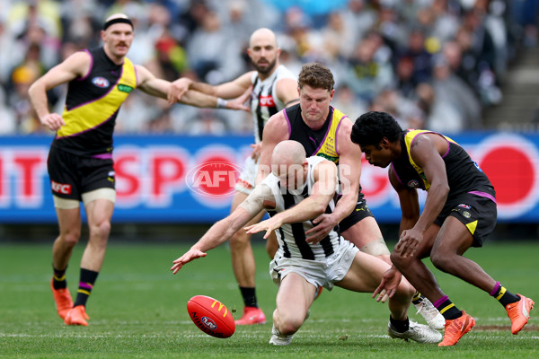 AFL 2025 Round 20 - Richmond v Collingwood - A-60808528