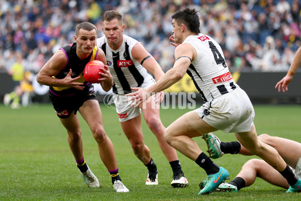AFL 2025 Round 20 - Richmond v Collingwood - A-60808553