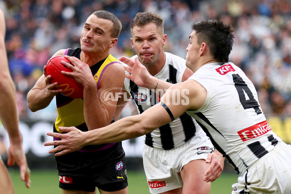 AFL 2025 Round 20 - Richmond v Collingwood - A-60810490