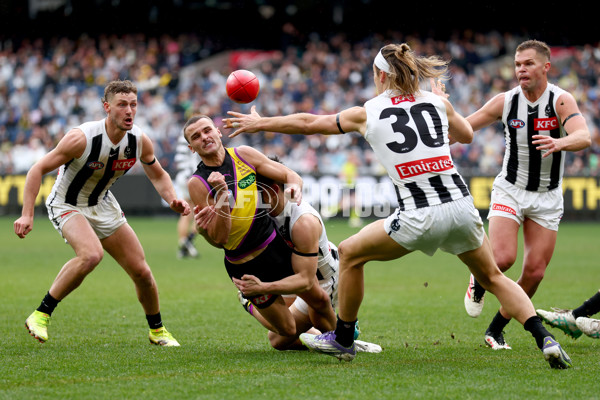 AFL 2025 Round 20 - Richmond v Collingwood - A-60810491