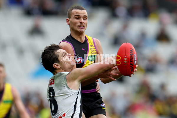AFL 2025 Round 20 - Richmond v Collingwood - A-60811039