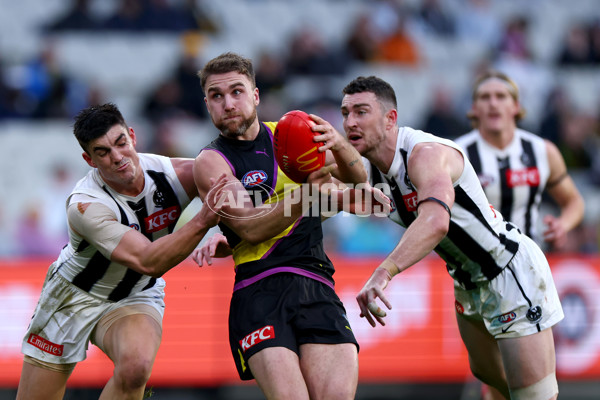 AFL 2025 Round 20 - Richmond v Collingwood - A-60816010
