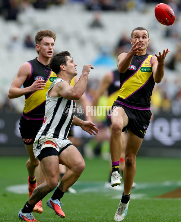 AFL 2025 Round 20 - Richmond v Collingwood - A-60816024