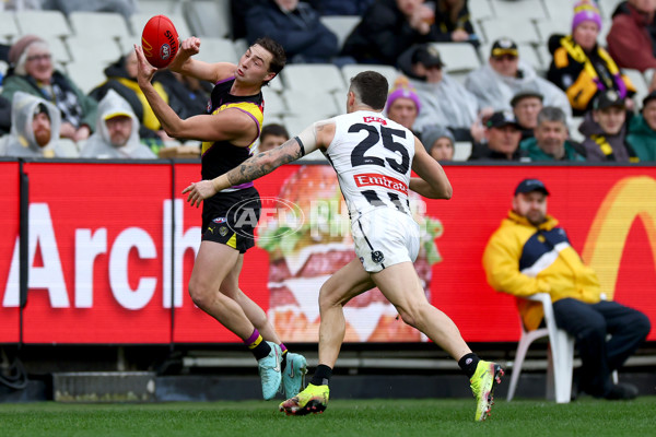 AFL 2025 Round 20 - Richmond v Collingwood - A-60816143