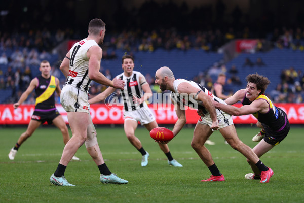 AFL 2025 Round 20 - Richmond v Collingwood - A-60816186