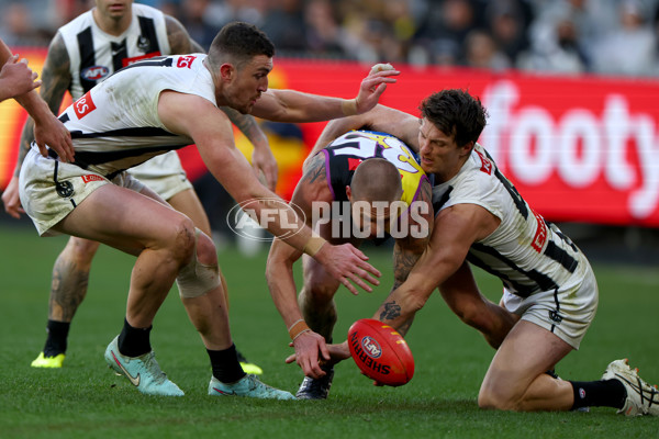 AFL 2025 Round 20 - Richmond v Collingwood - A-60816203