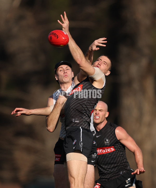 AFL 2025 Training - Collingwood 300725 - A-60828279