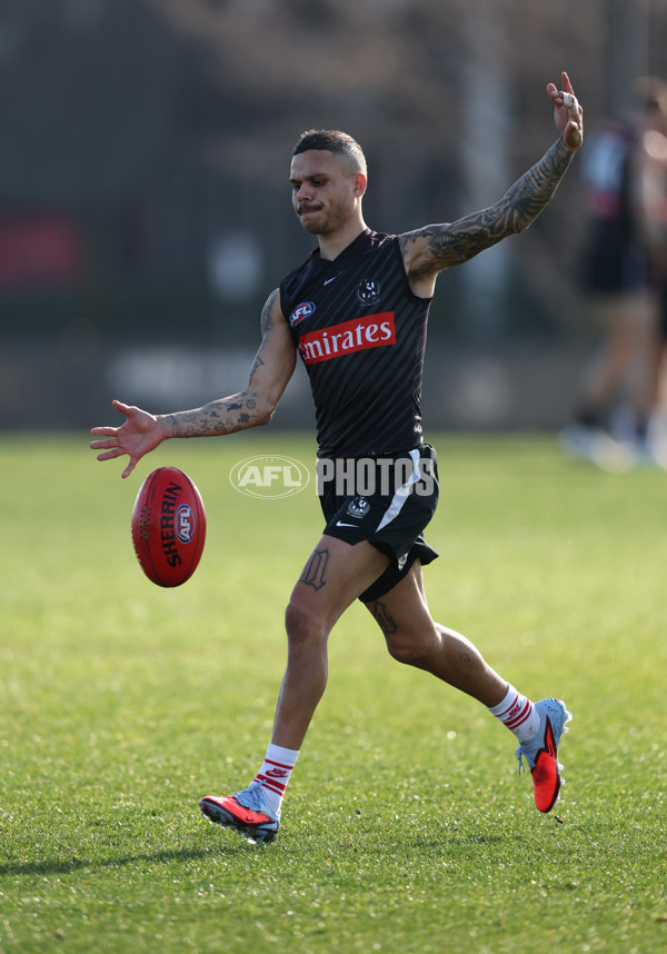 AFL 2025 Training - Collingwood 300725 - A-60828280