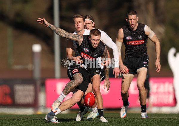AFL 2025 Training - Collingwood 300725 - A-60828282