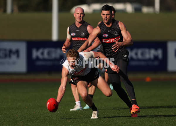 AFL 2025 Training - Collingwood 300725 - A-60828284